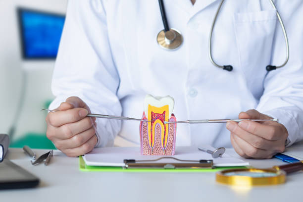 Professional Emergency Dental Service in TX